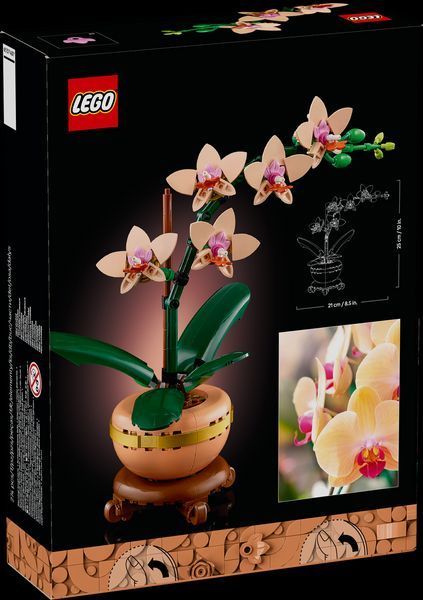 Лего Ботаніка букет Міні орхідея Квітковий декор LEGO Icons Botanicals 10343 10343 фото