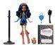 Лялька Монстер Хай Робекка Стім з пінгвіном та аксесуарами Monster High Robecca Steam JHK59 JHK59 фото 5
