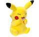 Мягкая игрушка Покемон Пикачу 20 см плюшевая игрушка Pokemon Pikachu PKW3080 PKW3080 фото 3