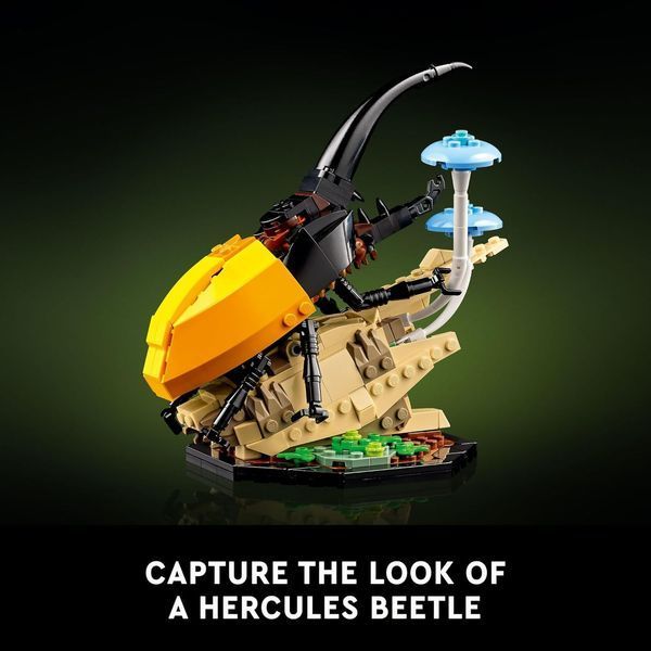 Конструктор Лего Ідеас колекція комах декоративний набір Lego Ideas Insect Collection 21342 21342 фото