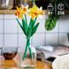 Конструктор Лего нарциссы цветочный набор Lego Daffodils 40747 40747 фото 5