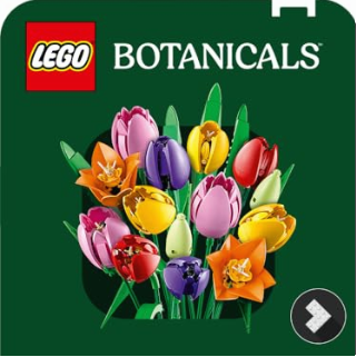 LEGO Botanicals